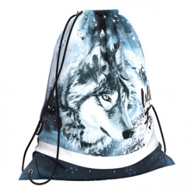 Мешок для обуви 36,5х44 см "Timber Wolf", ЕК