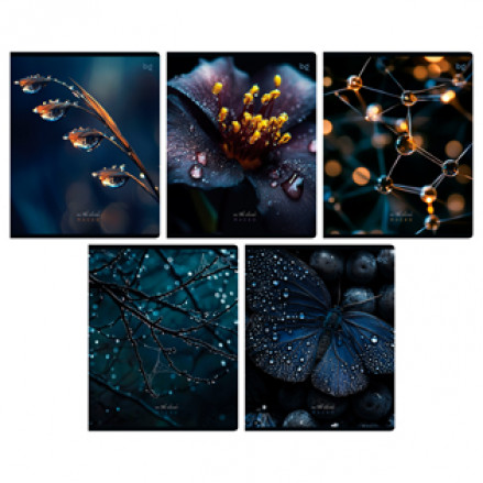 Тетрадь 48л клетка "В темноте", soft-touch ламинация, BG