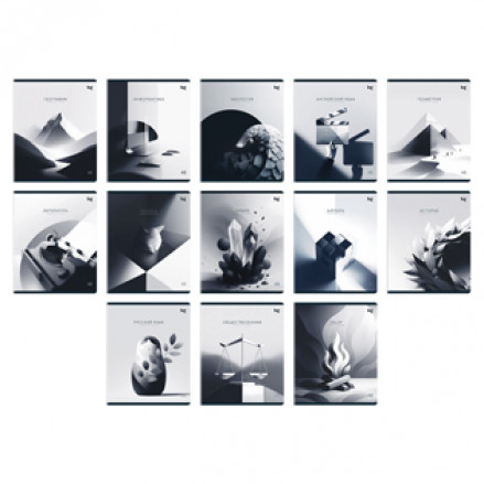 Тетрадь предметная 48л "В гранях разума", БиДжи