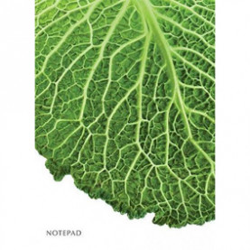 Блокнот А5 60л, Гринлайн, гребень, ПЗБМ