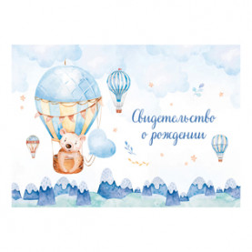 Папка Свидетельство о рождении "Медвежонок" А5, OfficeSpace