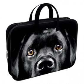 Папка с ручками A4+ на молнии Black Dog, ткань, ErichKrause® 