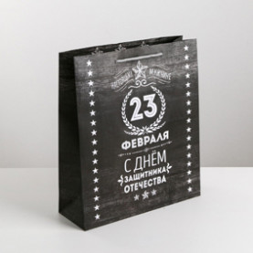 Пакет ламинат вертик. «Защитнику» 18х23х8см