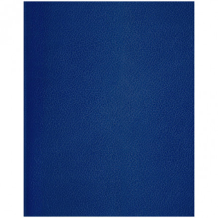 Тетрадь 48л А5, линия б/в