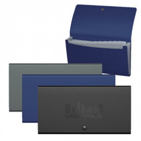 Папка-картотека Check size 12 отд, MEGAPOLIS ассорти, ЕК