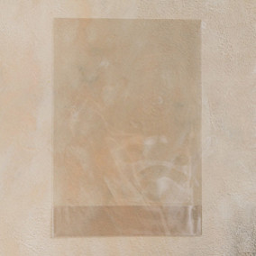 Пакет прозрачный, 18х32см.