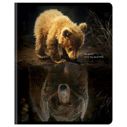 Тетрадь 48л клетка "Кто ты внутри?", вырубка, BG