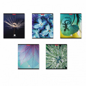 Тетрадь 96л А5 клетка Макромир, ЕК