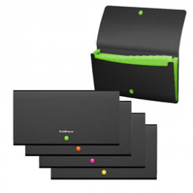 Папка-картотека Check size 12 отд, Matt Accent, ассорти, ЕК