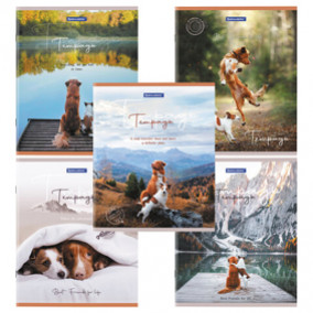 Тетрадь 48л клетка "Best Friends", BRAUBERG