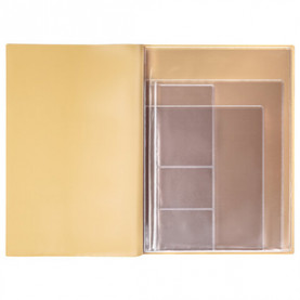 Папка с файлами для семейных документов ОМС, свидетельств и СНИЛС, STAFF