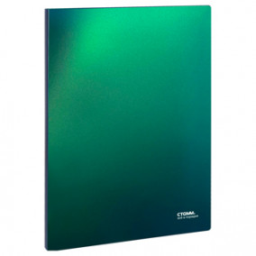 Папка на 20 файлов "Хамелеон", СТАММ