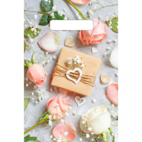 Пакет полиэтилен. с вырубной ручкой, Женский , 20х30см.