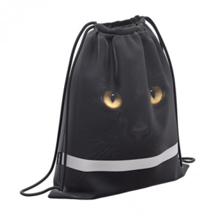 Мешок для обуви 50х41см "Black Cat", с боковым карманом, ЕК
