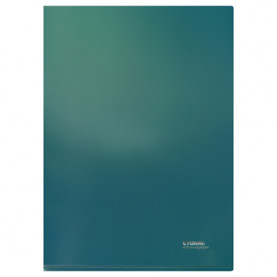 Папка-уголок А4 "Хамелеон", 180мкм, зеленый, СТАММ