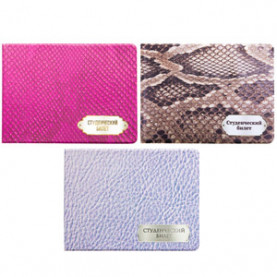 Обложка для студенческого билета, ПВХ, фотопечать