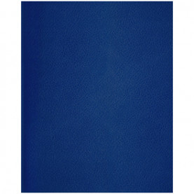 Тетрадь 96л А5 линия бумвинил