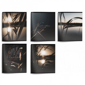 Тетрадь 48л клетка "DAYS MOOD" двойная обл., LOREX