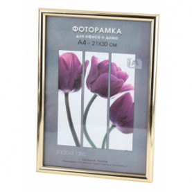 Фоторамка пластик Светосила Радуга 21х30 (А4 ) золото