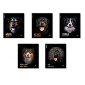 Тетрадь 96л А5 клетка Собаки, ЕК