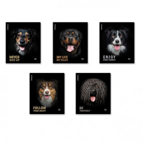 Тетрадь 96л А5 клетка Собаки, ЕК