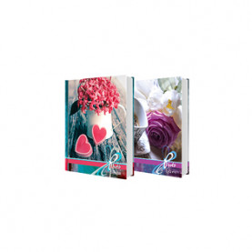 Фотоальбом Image Art IA -200PP 200 фото, 2 фото 10*15 на странице, "Цветы" 016