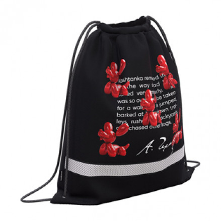 Мешок для обуви 50х41см "Balloon Dog", с вентиляцией, ЕК