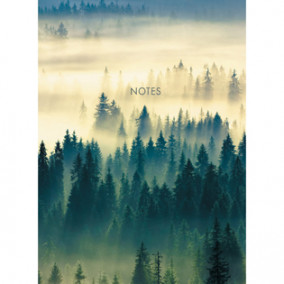 Тетрадь А4 100л кл. Туманный лес, тв.обложка, Listoff
