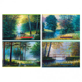 Альбом для рисования 40л А4 "Природа как искусство", гребень, BG 