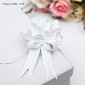 Бант-шар №1,8, ассорти