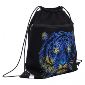 Мешок для обуви 50х41см "Night Lion", с карманом на молнии, ЕК