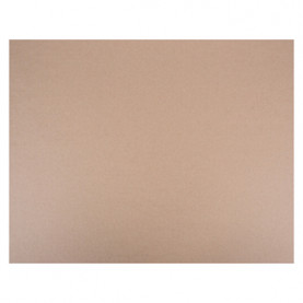 Картон для худ. работ 40х50см, плотность 2000г/м2, толщина 2,5мм